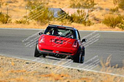 media/Nov-16-2024-Extreme Speed (Sat) [[6587d07cc4]]/Gold Group/Session 3 (The Bowl)/
